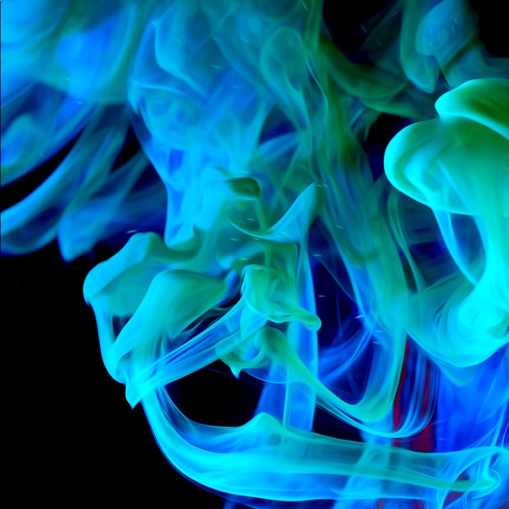 Meet your Posher, Bryan